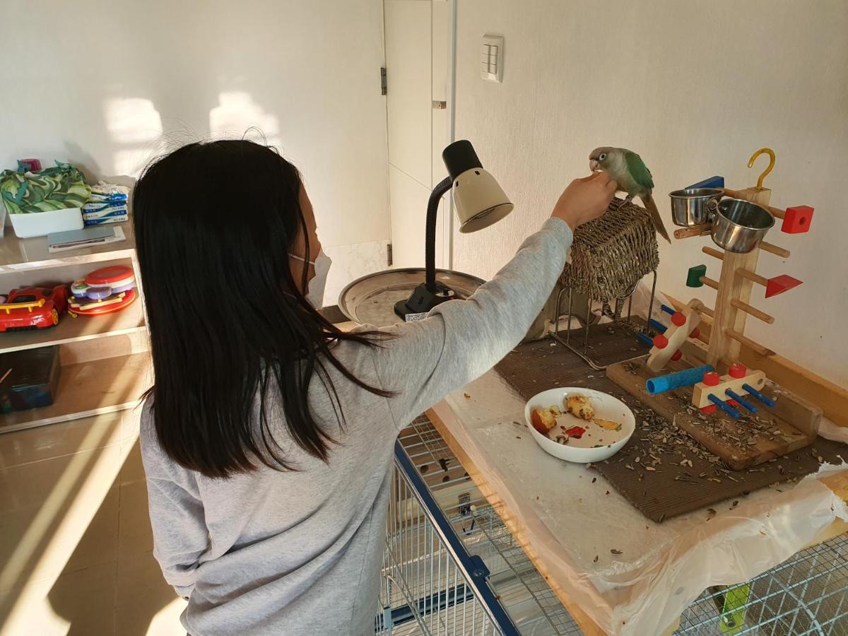 Forest Of Color Pension ホンチョン エクステリア 写真