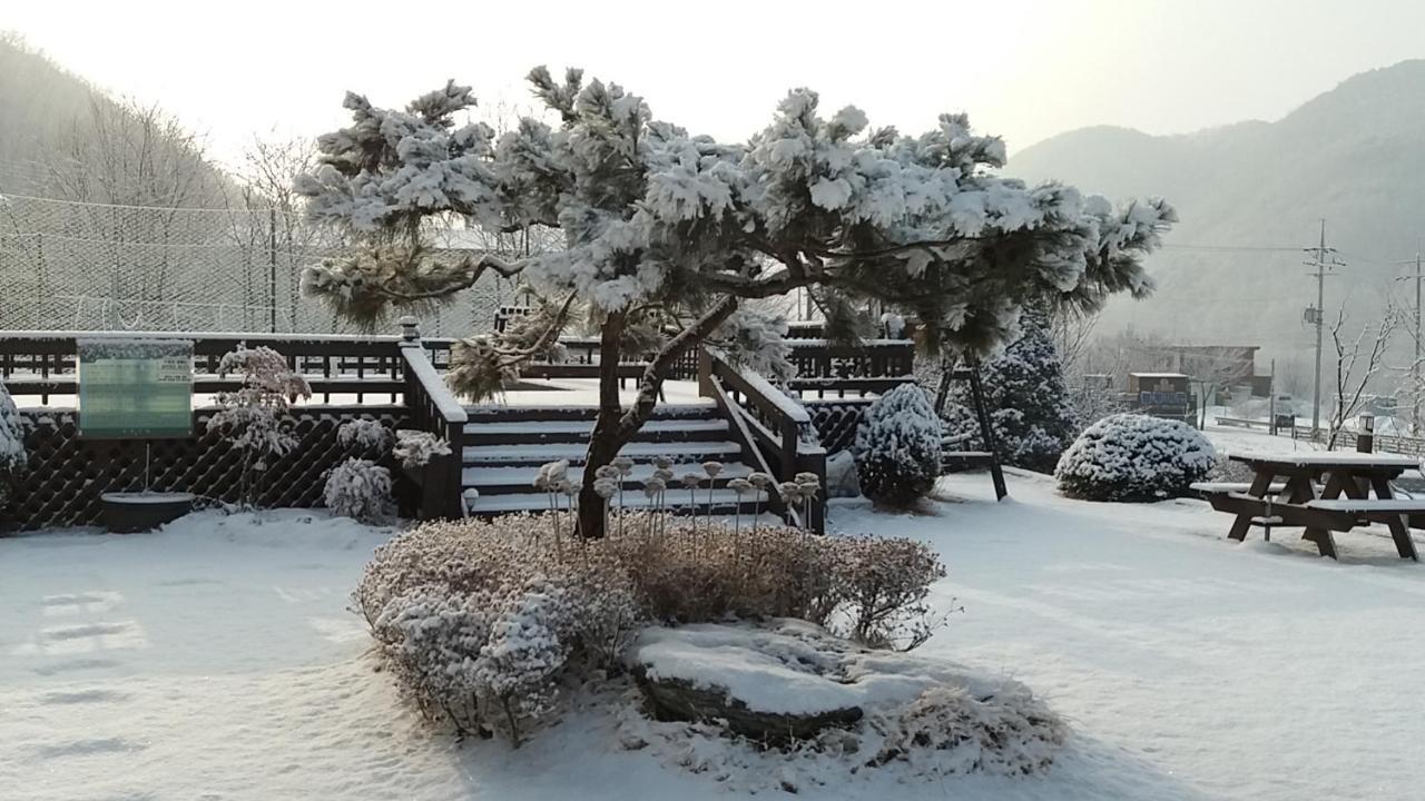 Forest Of Color Pension ホンチョン エクステリア 写真