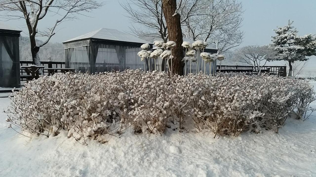 Forest Of Color Pension ホンチョン エクステリア 写真
