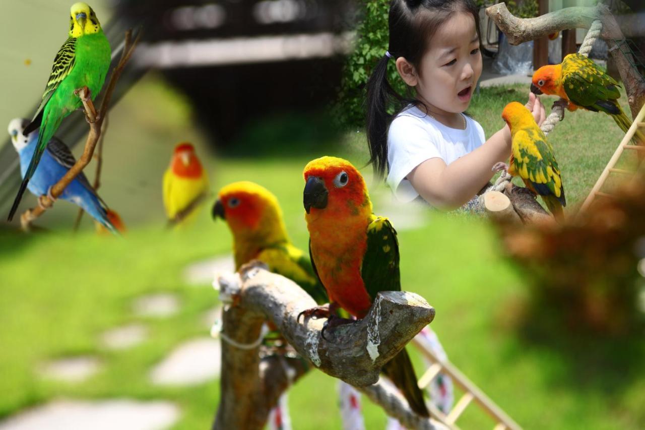 Forest Of Color Pension ホンチョン エクステリア 写真